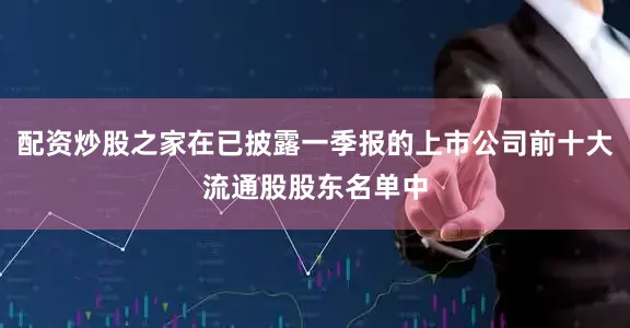 配资炒股之家在已披露一季报的上市公司前十大流通股股东名单中