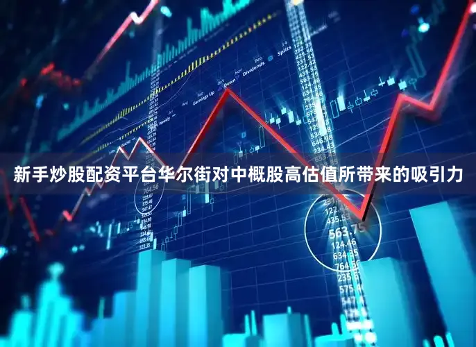 新手炒股配资平台华尔街对中概股高估值所带来的吸引力