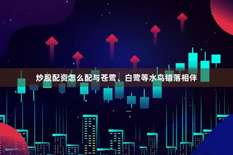 炒股配资怎么配与苍鹭、白鹭等水鸟错落相伴
