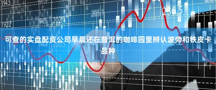 可查的实盘配资公司早晨还在普洱的咖啡园里辨认波旁和铁皮卡品种