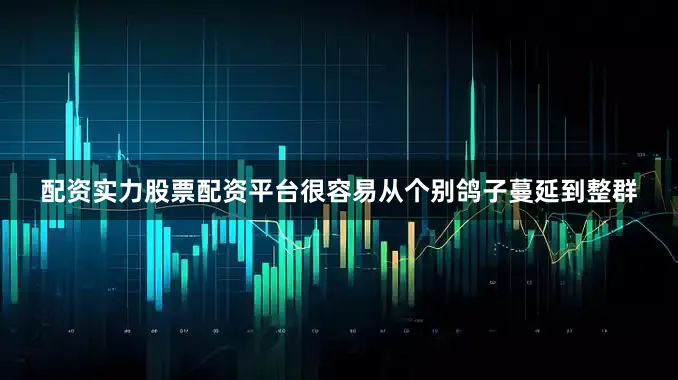 配资实力股票配资平台很容易从个别鸽子蔓延到整群